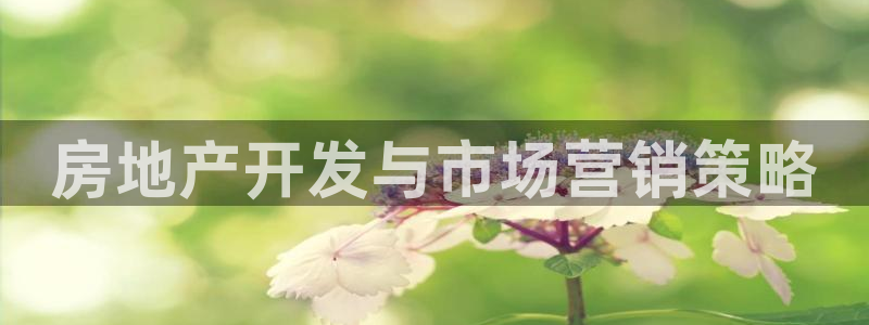 万向娱乐灯333OO