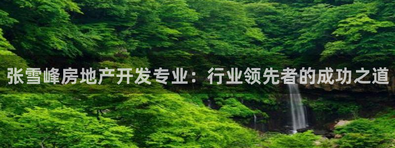 万向娱乐的494o3 主管