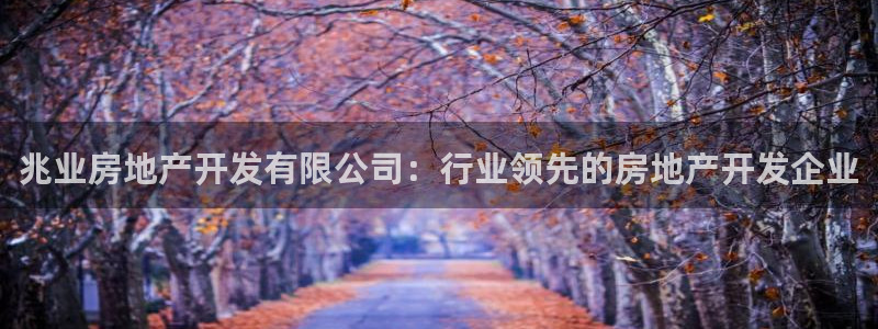万向娱乐官网下载安装手机版