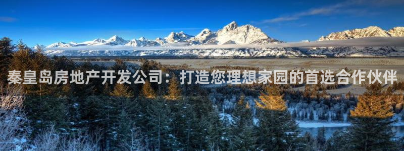 万向娱乐挂机软件