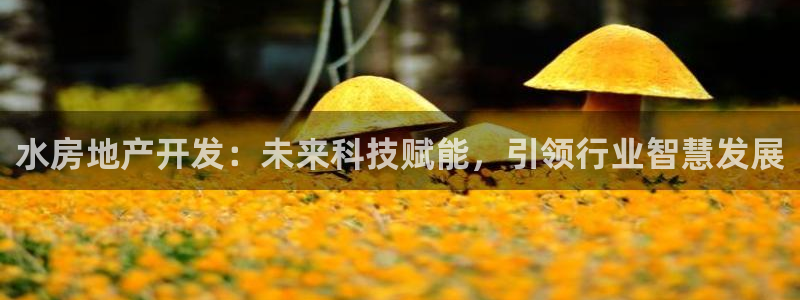 万向娱乐官网网址是什么