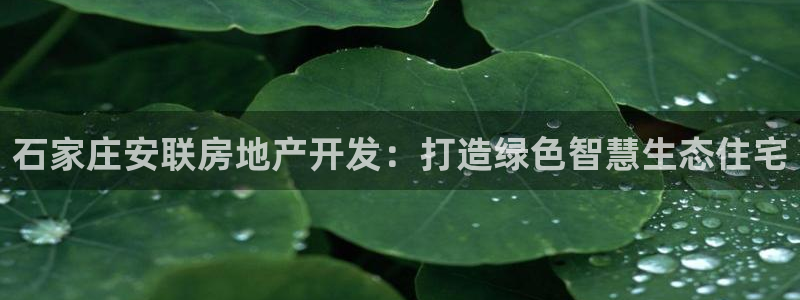 万向娱乐是哪个旗下