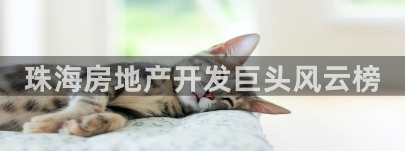 万向娱乐的联系方式是什么