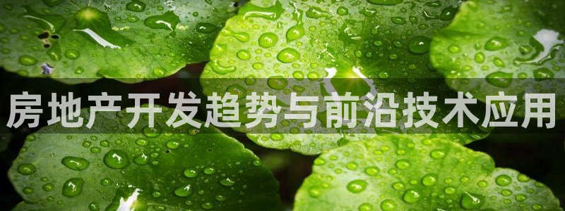 万向娱乐注册主管