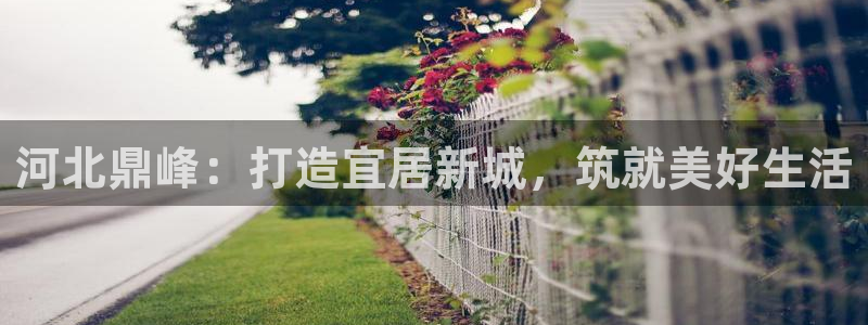 万向娱乐官网首页登录