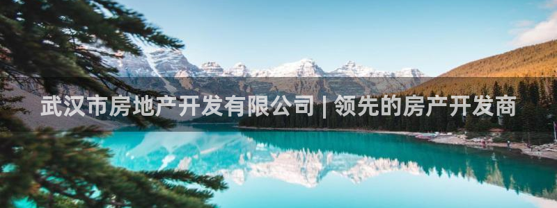万向娱乐平台怎么下载