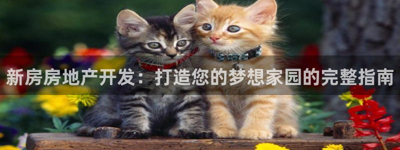 万向娱乐平台代理多少钱一个