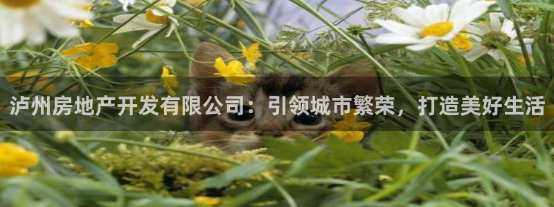 万向娱乐技术分享