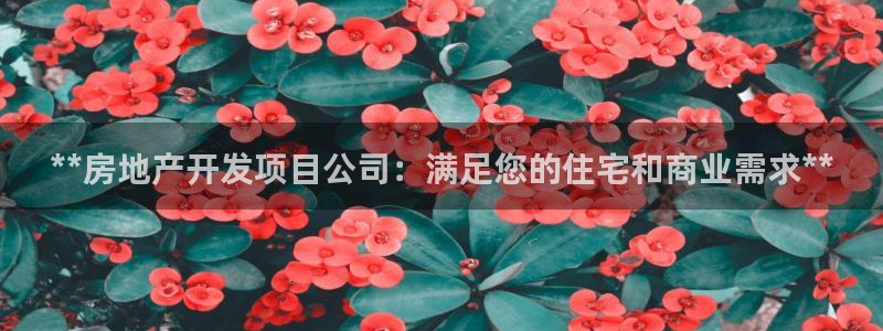 万向娱乐平台注册条件要求