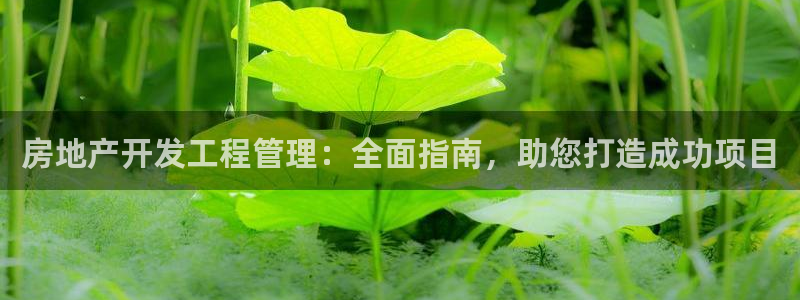 万向娱乐官网首页登录