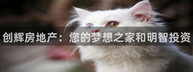 万向娱乐下载安装