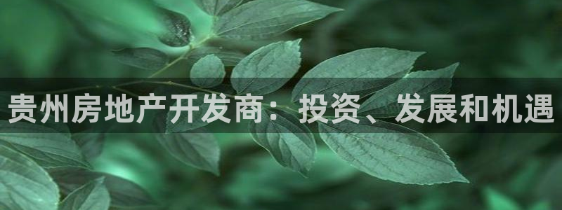 万向娱乐平台下载安装
