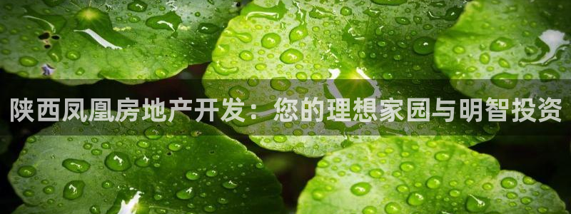 万向娱乐注册登录开户