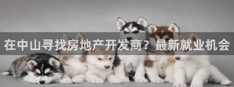 万向娱乐官网下载安装