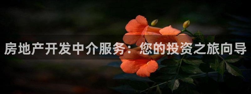 万向娱乐平台代理怎么样啊