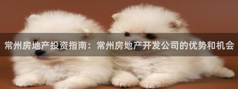 万向娱乐平台代理怎么做赚钱