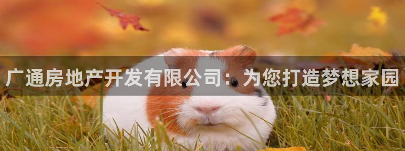 万向娱乐的联系方式有哪些