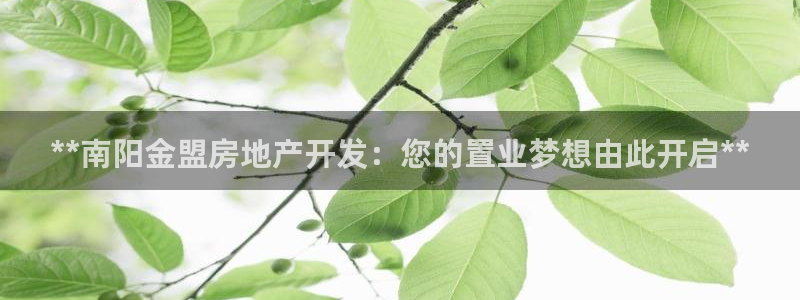 万向娱乐技术