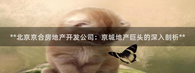 万向娱乐平台代理怎么样