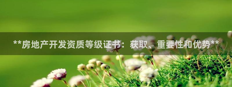 万象国际娱乐网址