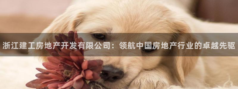 万向娱乐平台代理多少钱