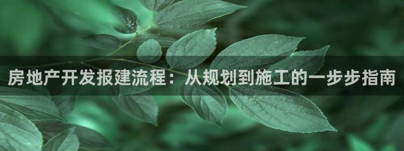 万向娱乐平台代理多少钱一年