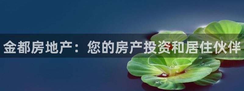 万向娱乐挂机