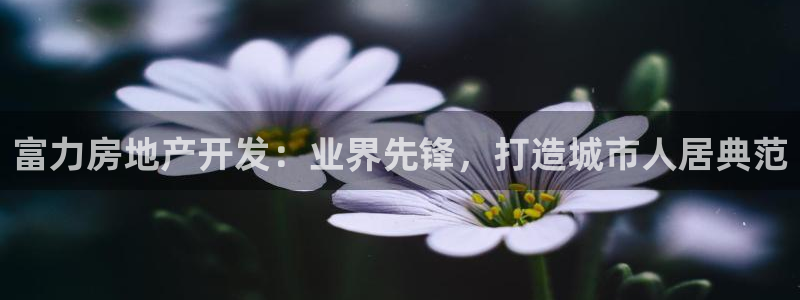 万向娱乐平台怎么下载