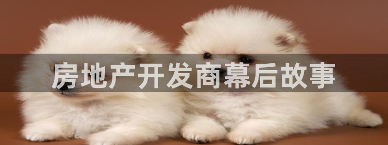 万象国际娱乐网址