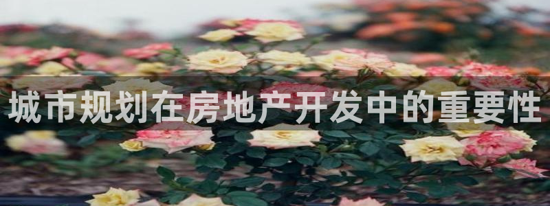 万向娱乐官网网址