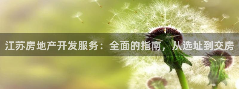 万向娱乐官网网址大全