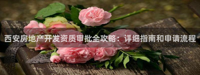 万向娱乐的494o3 主管