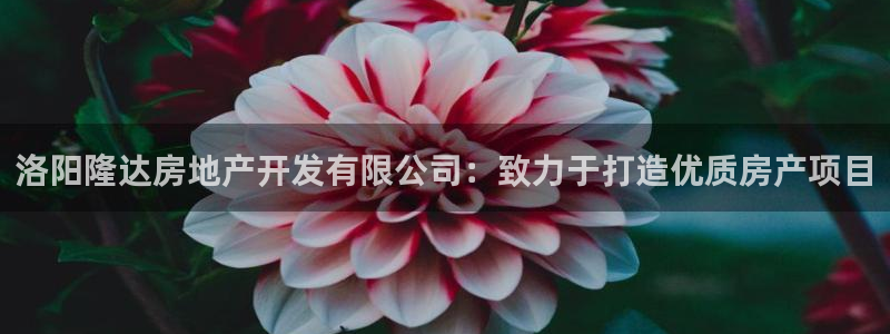 万向娱乐平台代理多少钱