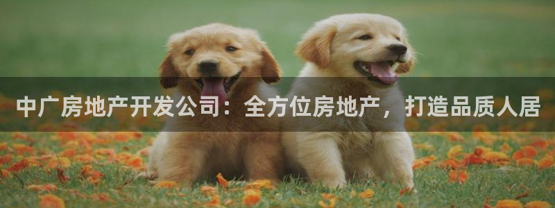 万向娱乐官网下载