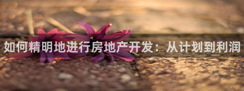 万向娱乐公司官网