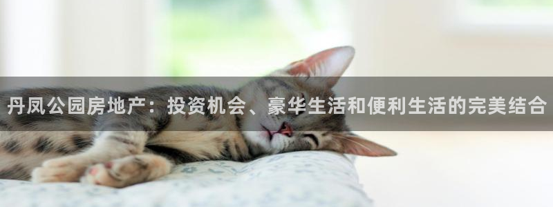 万向娱乐的联系方式是什么
