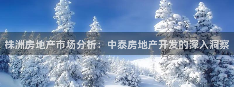 万向娱乐app下载官网