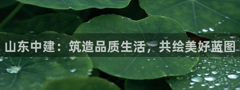 万向娱乐公司 585.34I 娱乐