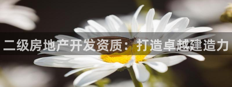 万向娱乐招商