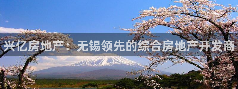 万向娱乐平台代理怎么样