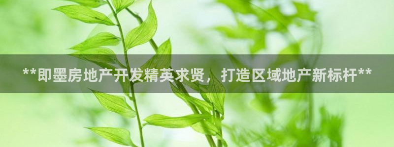 万向娱乐平台代理怎么做