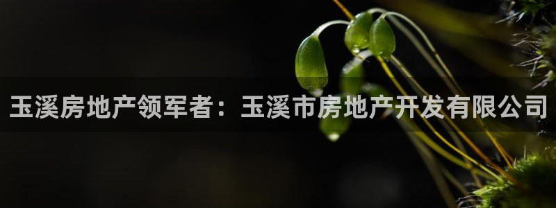 万向娱乐app下载
