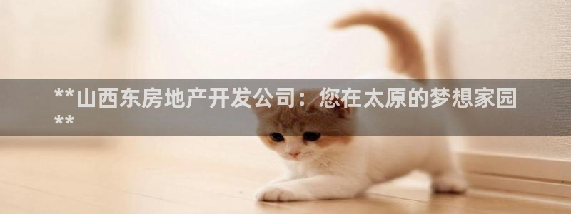 万向娱乐app