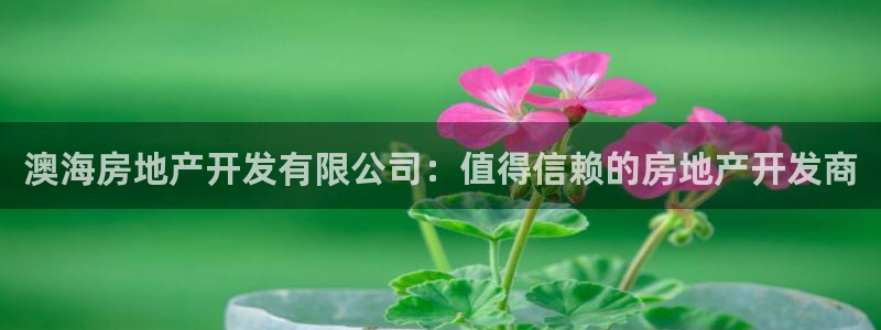 万向娱乐平台代理怎么样啊