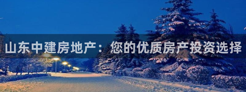 万向娱乐公司 585.34I 娱乐
