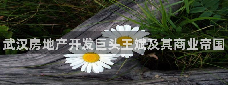 万向娱乐官网下载安装手机版