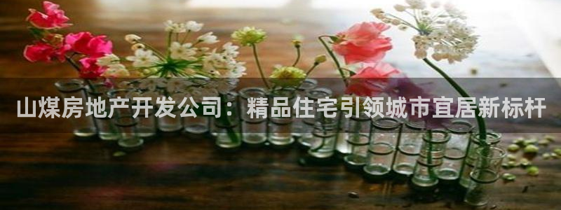 万向娱乐总代