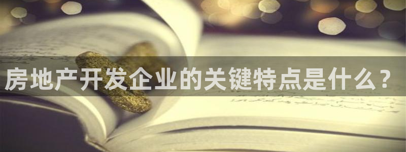 万向娱乐公司 585.34I 娱乐