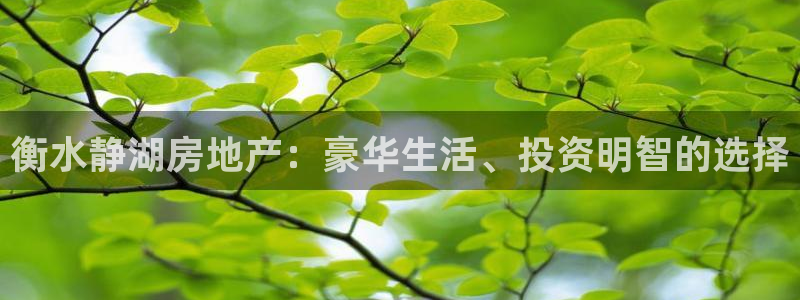 万向娱乐平台代理怎么样可靠吗