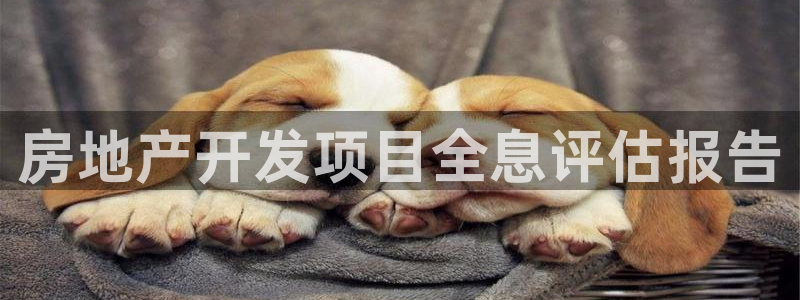 万向娱乐灯333OO